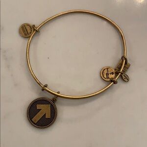 Alex and Ani Stand up to Cancer Bracelet
